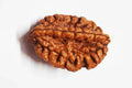 2 Mukhi Indian Rudraksha - BhavAura