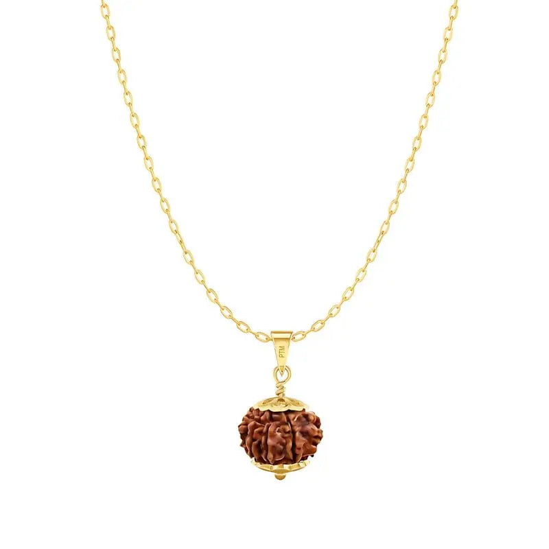 6 Mukhi Nepali Rudraksha BhavAura