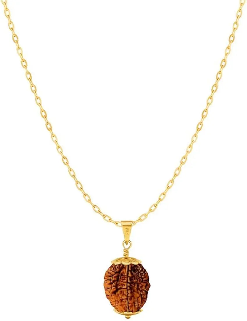 2 Mukhi Indian Rudraksha BhavAura