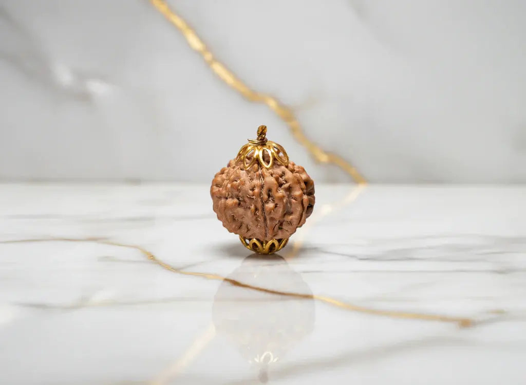 10 Mukhi Nepali Rudraksha BhavAura