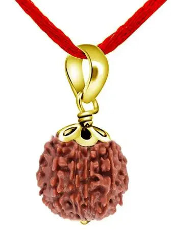 3 Mukhi Indian Rudraksha BhavAura