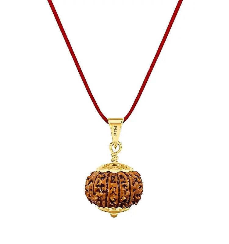 11 Mukhi Nepali Rudraksha BhavAura
