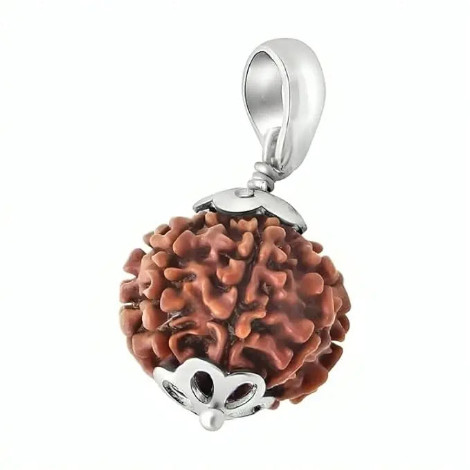 3 Mukhi Indian Rudraksha BhavAura