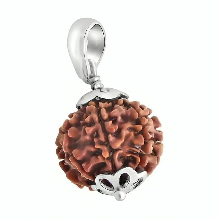 6 Mukhi Nepali Rudraksha BhavAura