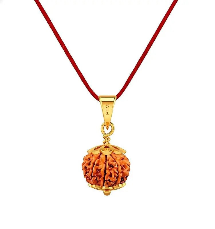 8 Mukhi Nepali Rudraksha BhavAura