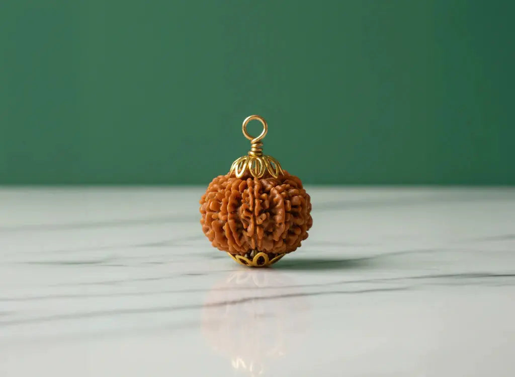 12 Mukhi Nepali Rudraksha BhavAura