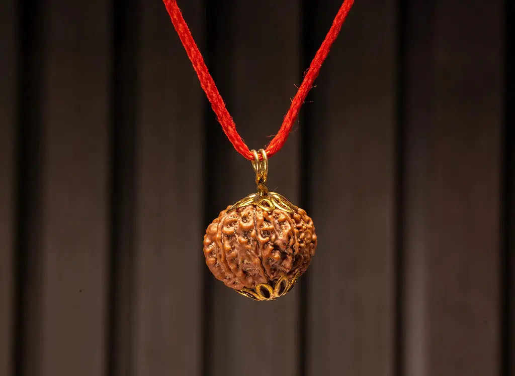 13 Mukhi Nepali Rudraksha BhavAura