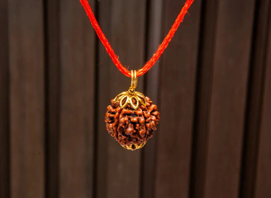 7 Mukhi Nepali Rudraksha BhavAura