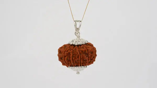 10 Mukhi Nepali Rudraksha BhavAura