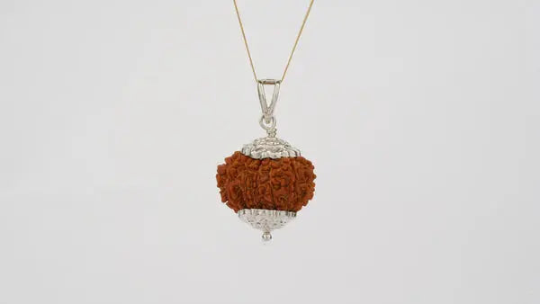 13 Mukhi Nepali Rudraksha BhavAura
