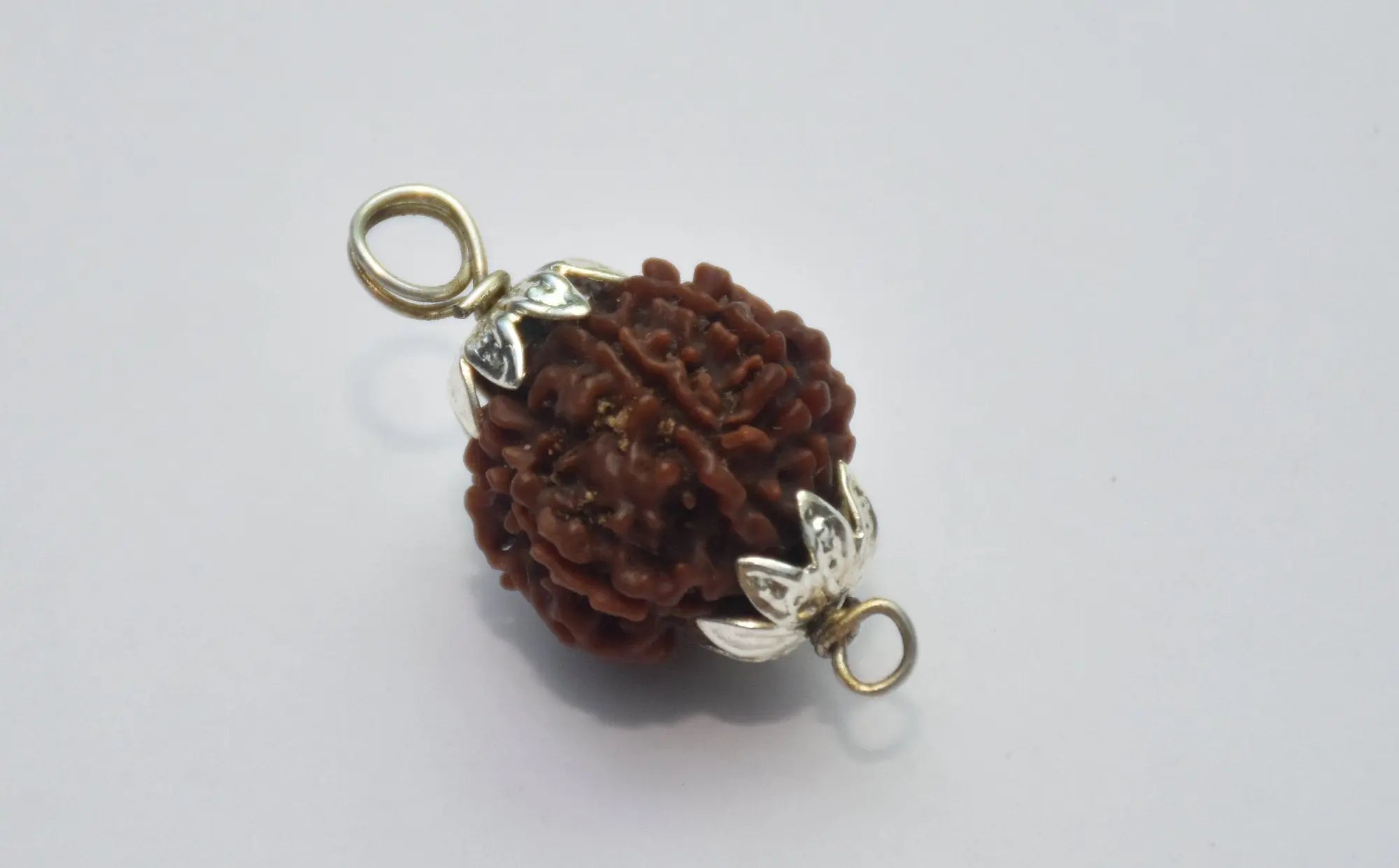 7 Mukhi Nepali Rudraksha BhavAura